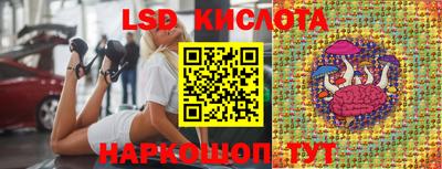 дмт Будённовск