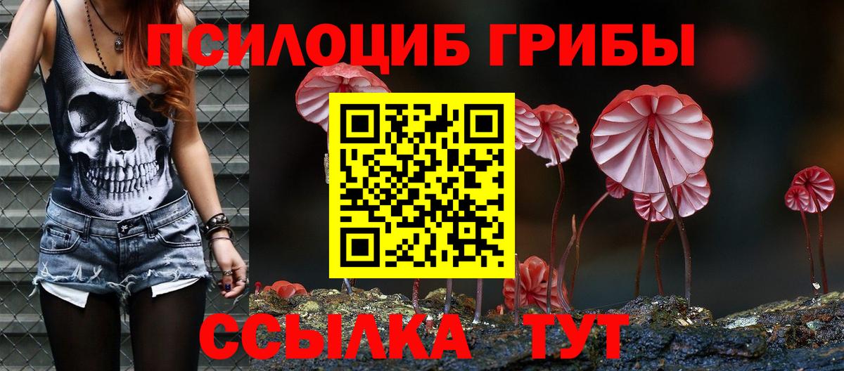 Буйнакск  Псилоцибиновые грибы Psilocybine cubensis  Вход с VPN  Псилоцибиновые грибы ЛСД 